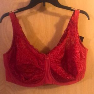 44G Elila bra
